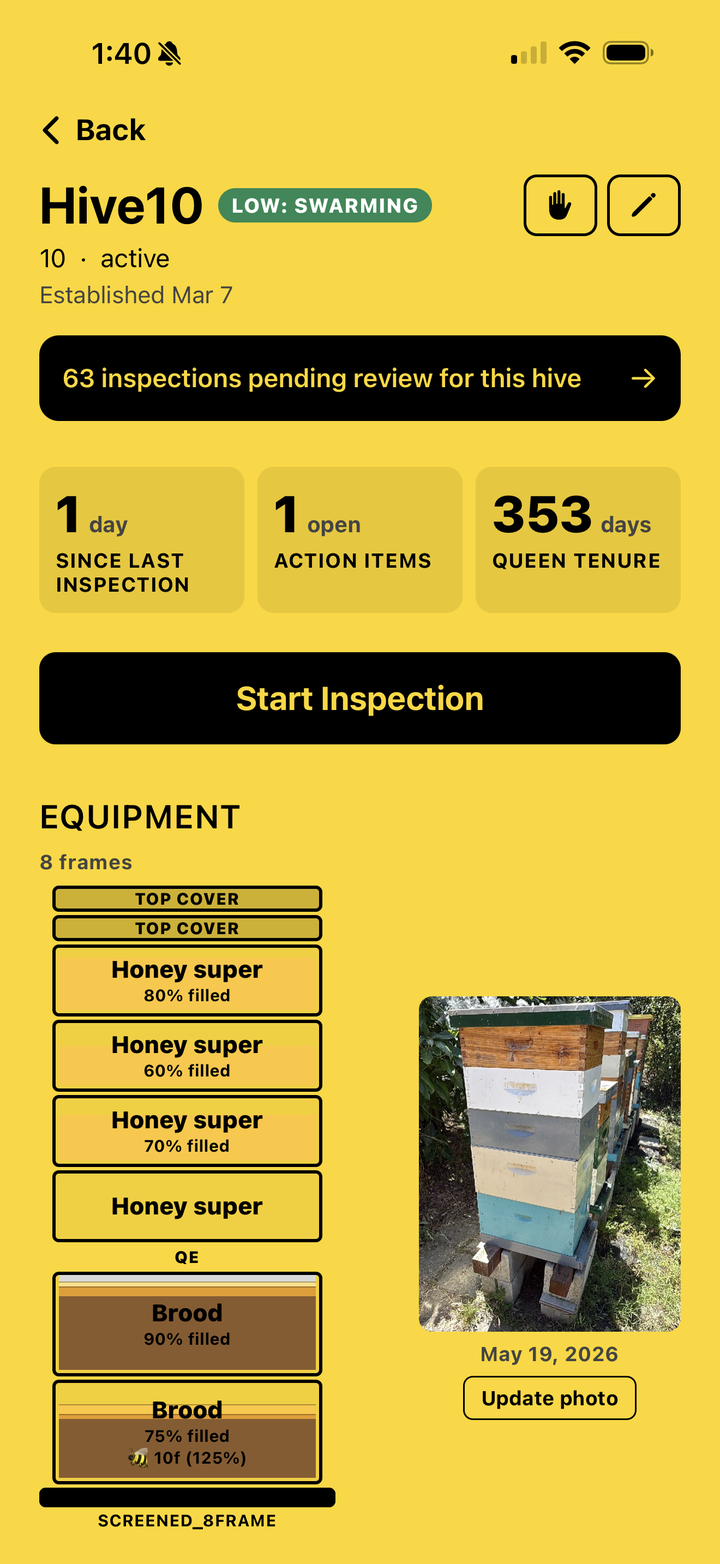 Hive detail — extracted observations for queen, brood, honey, and mites.